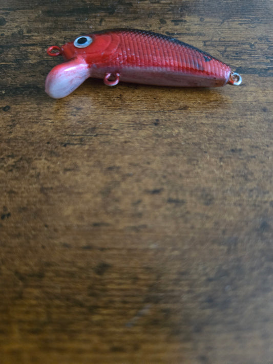 blood shad diver